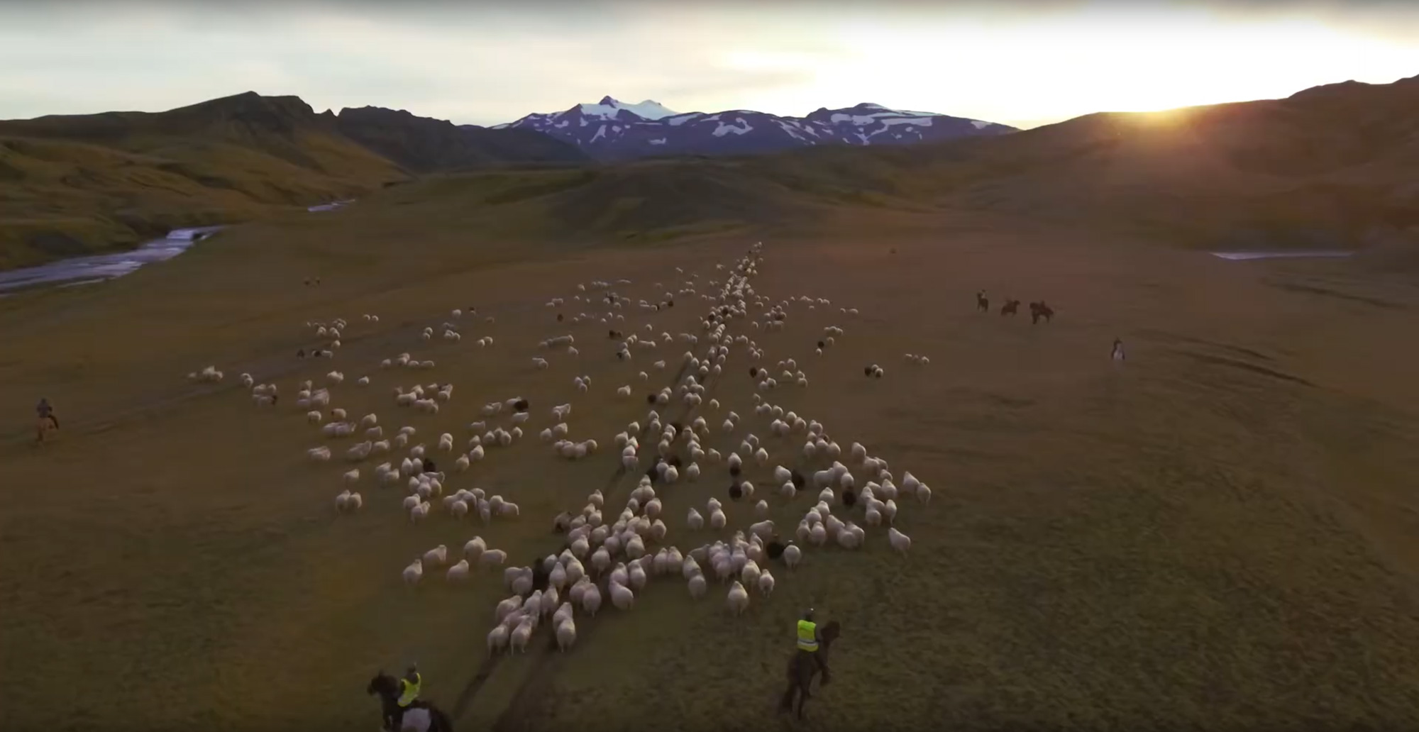 Der Abtrieb der Schafe – oder: Wie Isländer Feste feiern